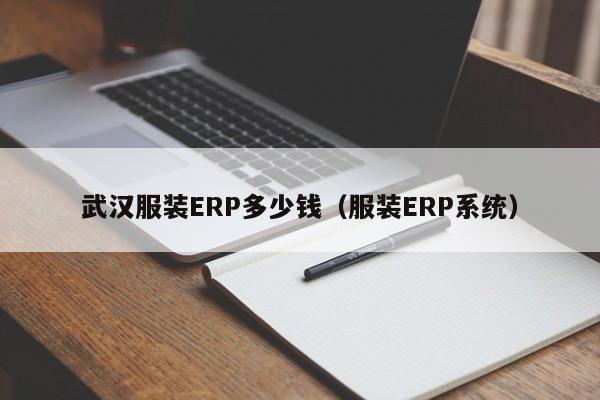 武汉服装ERP多少钱（服装ERP系统）